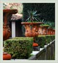 Plants at Boboli Gardens - Florence