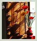 Kitchen window with flowers